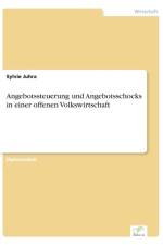Angebotssteuerung und Angebotsschocks in einer offenen Volkswirtschaft af Sylvie Juhra