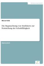 Begutachtung von Straftatern zur Feststellung der Schuldfahigkeit af Marcel Kolb