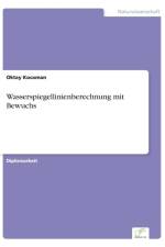 Wasserspiegellinienberechnung mit Bewuchs af Oktay Kocaman