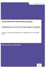 Stabilisation of the Foot and Ankle Complex af Gaspar M G Morey-Klapsing
