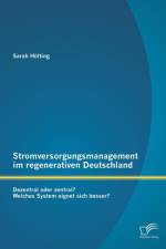 Stromversorgungsmanagement im regenerativen Deutschland af Sarah Hoelting