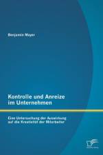 Kontrolle und Anreize im Unternehmen af Benjamin Mayer