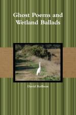 Ghost Poems and Wetland Ballads af David Rollison