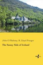Sunny Side of Ireland af John Omahony
