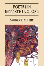 Poetry in Different Colors af Sandra R Blythe