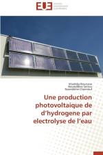 Production Photovoltaique de d'Hydrogene Par Electrolyse de l'Eau af Collectif