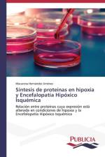 Sintesis de proteinas en hipoxia y Encefalopatia Hipoxico Isquemica af Macarena Hernandez Jimenez