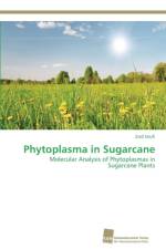 Phytoplasma in Sugarcane af Ziad Soufi