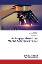 Aminopeptidase from Marine Aspergillus Flavus af S Sivasakthi