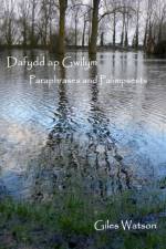 Dafydd Ap Gwilym: Paraphrases and Palimpsests af Giles Watson
