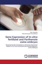 Gene Expression of In-Vitro Fertilized and Parthenote Ovine Embryos af Sengodan Raja