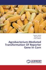 Agrobacterium-Mediated Transformation of Reporter Gene in Corn af Ashraf Faryam