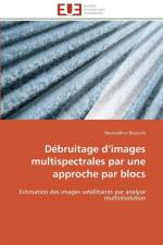 D bruitage D Images Multispectrales Par Une Approche Par Blocs af Boujnah-N
