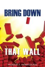 Bring Down That Wall af Nicholas F Papanicolaou