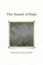 The Sound of Rain af Jacob Salzer