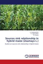 Sources sink relationship in hybrid maize (Zeamays L.) af S Previna