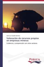 Valoracion de recursos propios en empresas mineras af Casado-Sanchez Jose-Luis