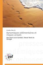 Dynamiques Sedimentaires Et Risques Actuels af Sy-A