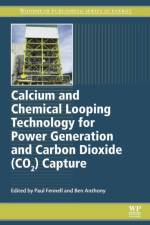 Calcium and Chemical Looping Technology for Power Generation and Carbon Dioxide (CO2) Capture