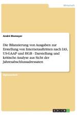 Die Bilanzierung von Ausgaben zur Erstellung von Internetauftritten nach IAS, US-GAAP und HGB - Darstellung und kritische Analyse aus Sicht der Jahresabschlussadressaten af Andre Blomeyer