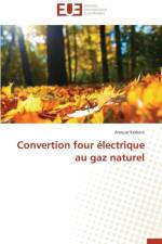 Convertion Four lectrique Au Gaz Naturel af Kerkeni-A