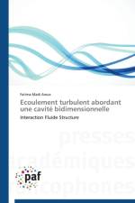 Ecoulement Turbulent Abordant Une Cavite Bidimensionnelle af Arous-F