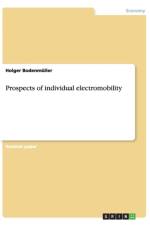 Prospects of individual electromobility af Holger Bodenmuller