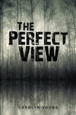 Perfect View af Carolyn Young