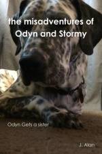 Misadventures of Odyn and Stormy af J. Alan