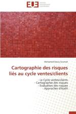 Cartographie des risques lies au cycle ventes/clients af Soumah-M