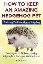 How to Keep an Amazing Hedgehog Pet. Featuring 'The African Pygmy Hedgehog' !! af Hathai Ross