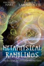 Metaphysical Ramblings af Rodolfo M Labourdette