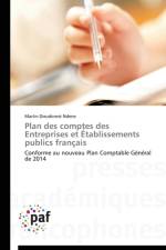 Plan Des Comptes Des Entreprises Et Etablissements Publics Francais af Ndene-M