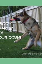 Body Parts of Our Dogs af Jack (University of Warwick) Cohen