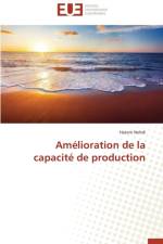 Am lioration de la Capacit de Production af Nehdi-H