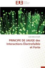 Principe de Jauge Des Interactions lectrofaible Et Forte af Ennadifi-S