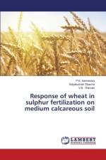 Response of wheat in sulphur fertilization on medium calcareous soil af Ramani V B