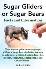 Sugar Gliders or Sugar Bears af Richard Pride