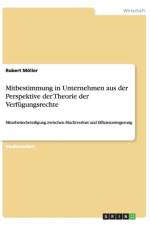 Mitbestimmung in Unternehmen Aus Der Perspektive Der Theorie Der Verfugungsrechte af Robert Moller