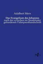 Evangelium des Johannes af Adalbert Merx