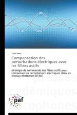 Compensation Des Perturbations Electriques Avec Les Filtres Actifs af Jarou-T