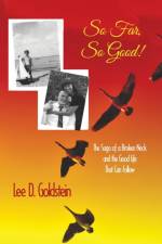 So Far, So Good af Lee D Goldstein