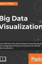 Big Data Visualization af James D. Miller