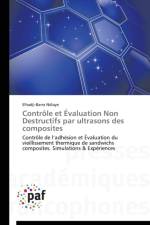 Controle Et Evaluation Non Destructifs Par Ultrasons Des Composites af Ndiaye-E