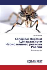 Conopidae (Diptera) Tsentral'nogo Chernozemnogo regiona Rossii af Gaponov Sergey
