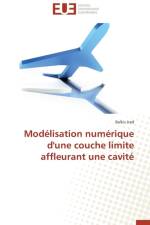 Mod lisation Num rique d'Une Couche Limite Affleurant Une Cavit af Jrad-B