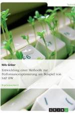 Entwicklung Einer Methodik Zur Performanceoptimierung Am Beispiel Von SAP Bw af Nils Gr Er
