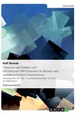 Chancen Und Risiken Von On-Demand Erp-Systemen in Kleinen Und Mittelstandischen Unternehmen af Ralf Nowak