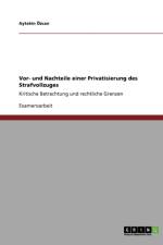 Vor- Und Nachteile Einer Privatisierung Des Strafvollzuges af Aytekin Ozcan