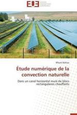 tude Num rique de la Convection Naturelle af Bakkas-M